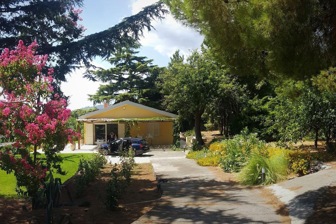 Villa Palm Hill Piedimonte Etneo Exteriör bild
