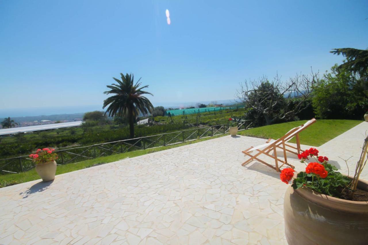 Villa Palm Hill Piedimonte Etneo Exteriör bild