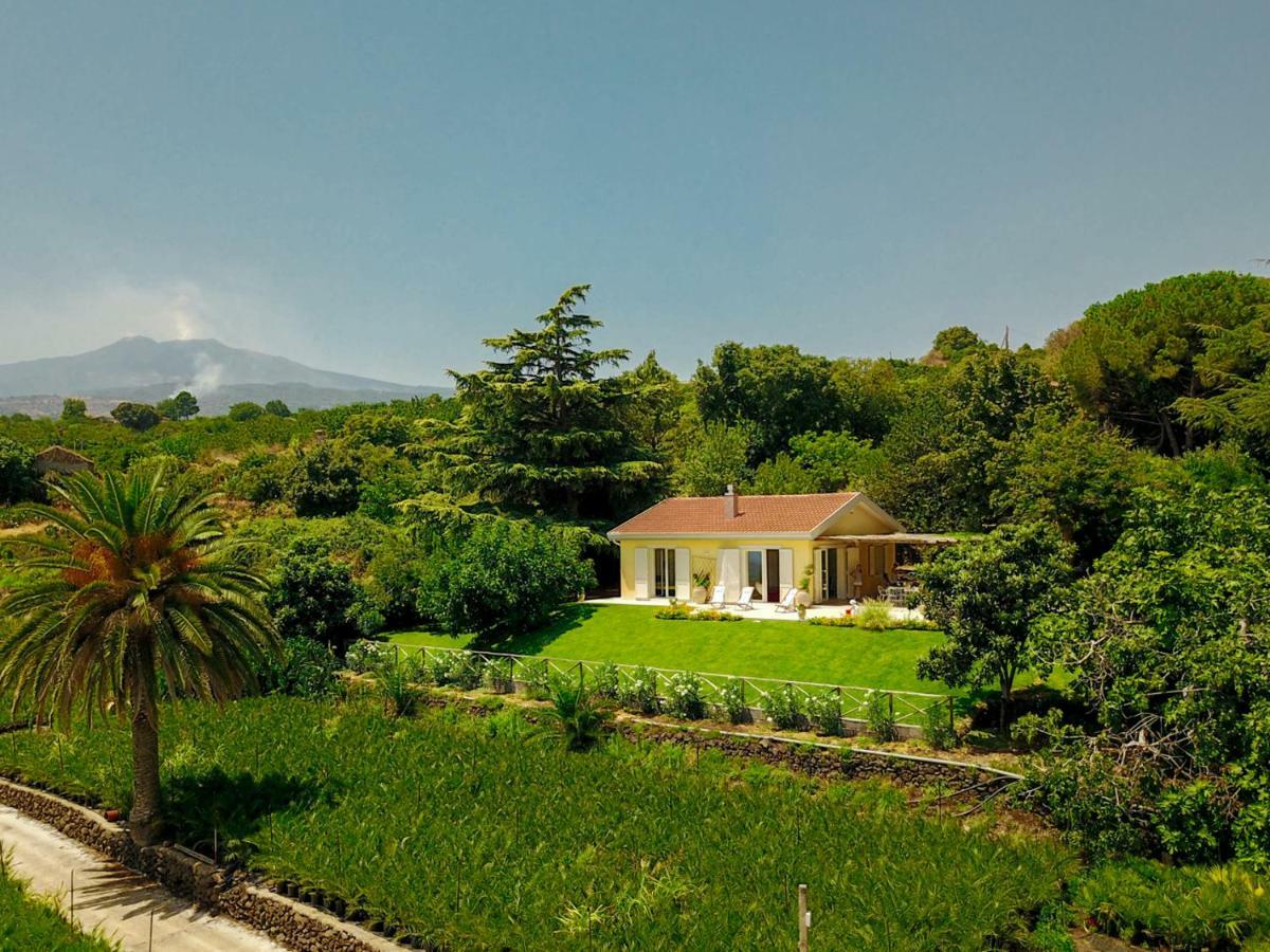 Villa Palm Hill Piedimonte Etneo Exteriör bild